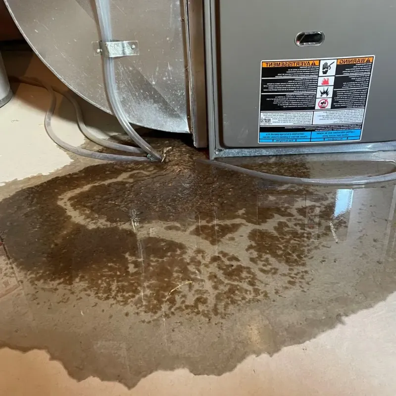 Pipe Burst and Leak Restoration in Twin Lakes, CO