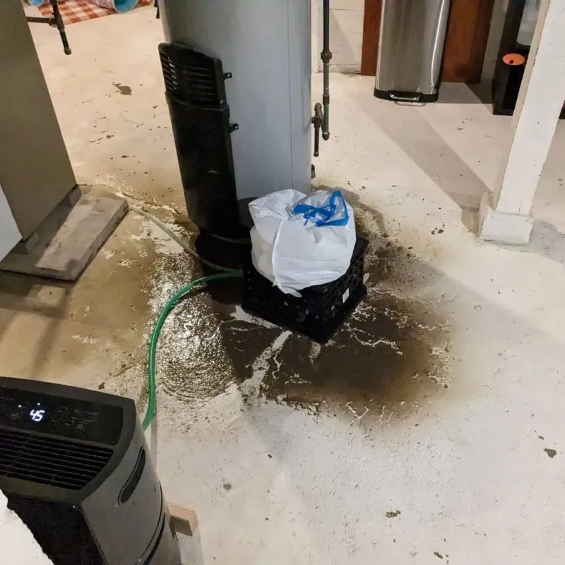 Sewage Backup Cleanup Service in Twin Lakes, CO